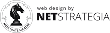 realizzazione sito internet by Net Strategia